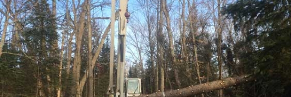 BurksFalls_Removal-SpruceTreeFromGarageWithCrane-IMG_6765