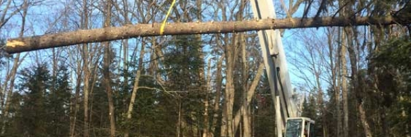 BurksFalls_Removal-SpruceTreeFromGarageWithCrane-IMG_6770